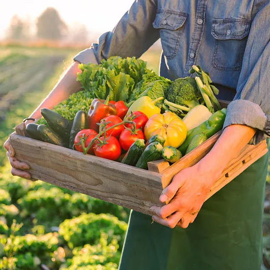 機械式雙層立體車位 機械式雙層立體車位